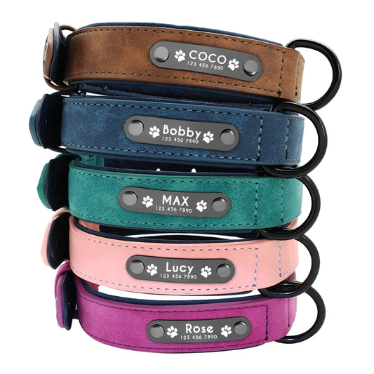 Customisable Dog Collar